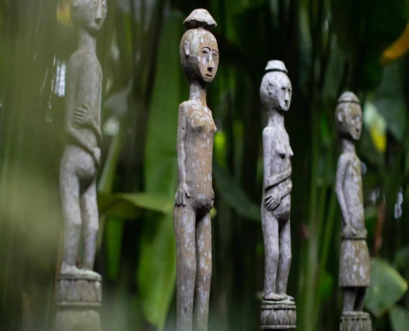Villa Rumah Hujan Ubud