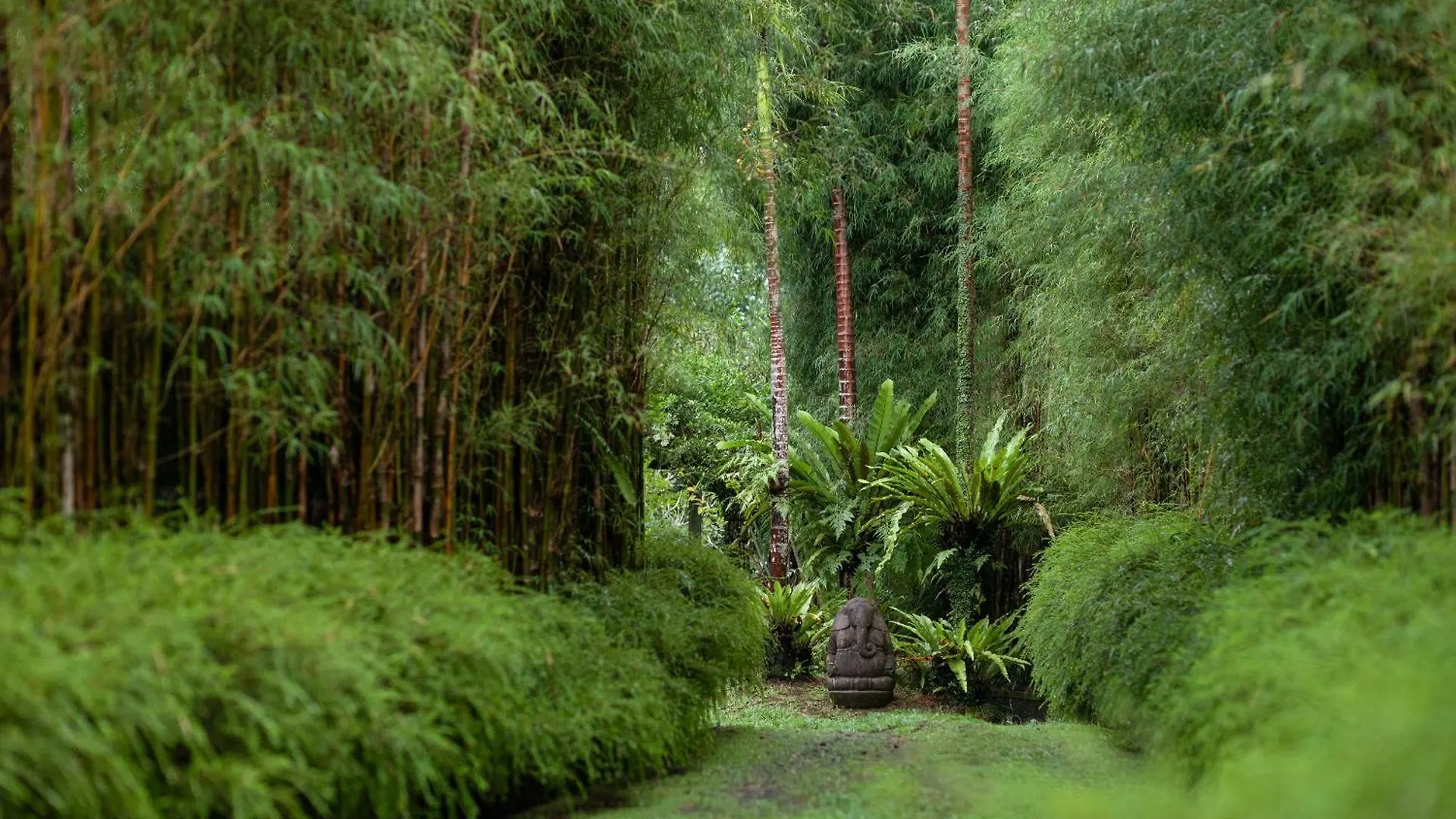 Rumah Hujan Ubud  Villa