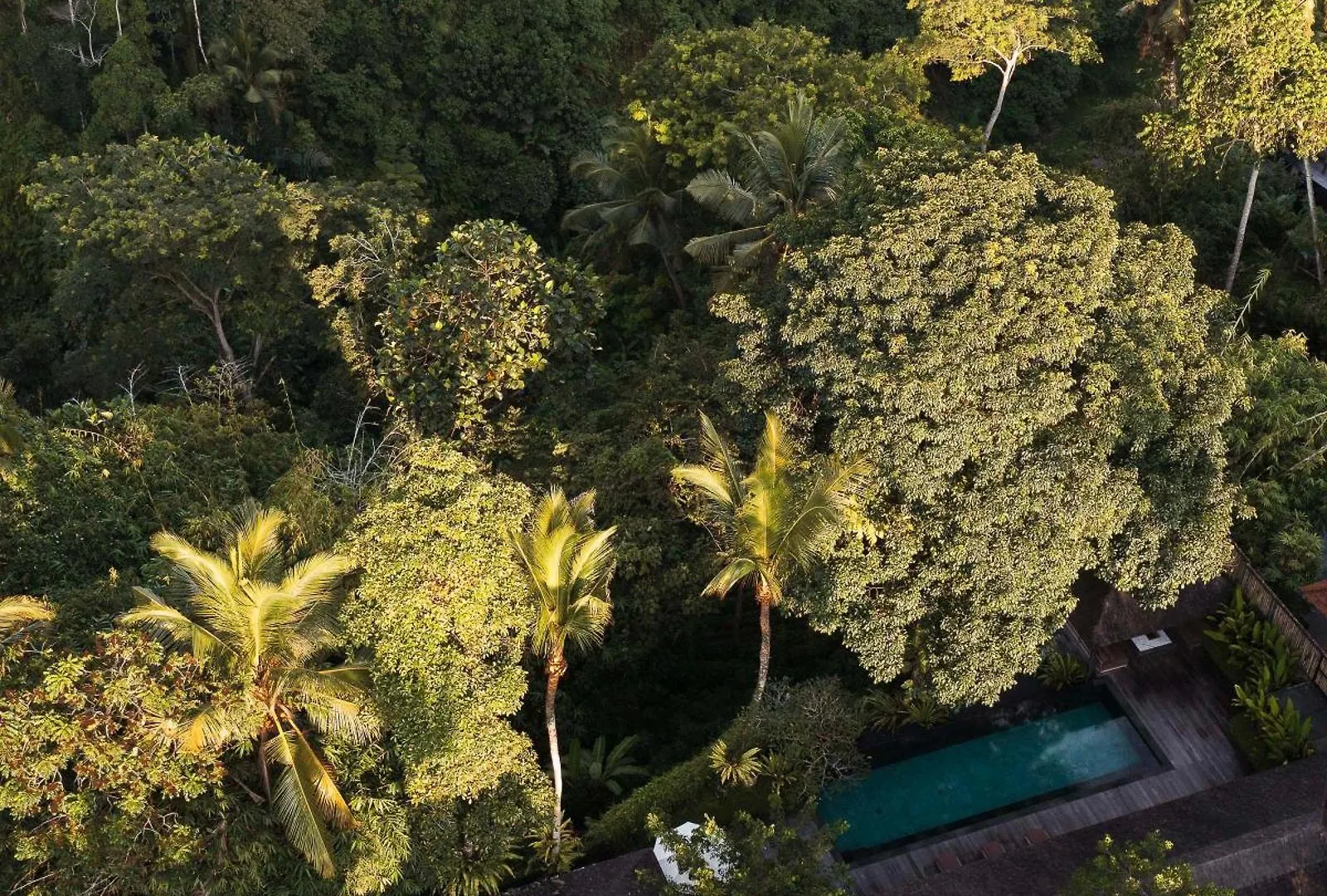 Villa Rumah Hujan Ubud