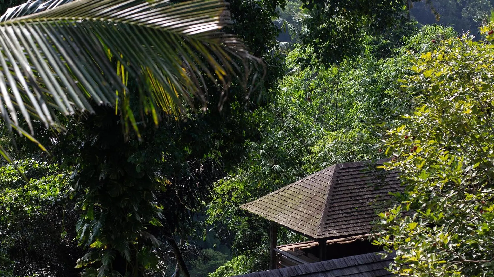 Rumah Hujan Ubud  Ubud (Bali)