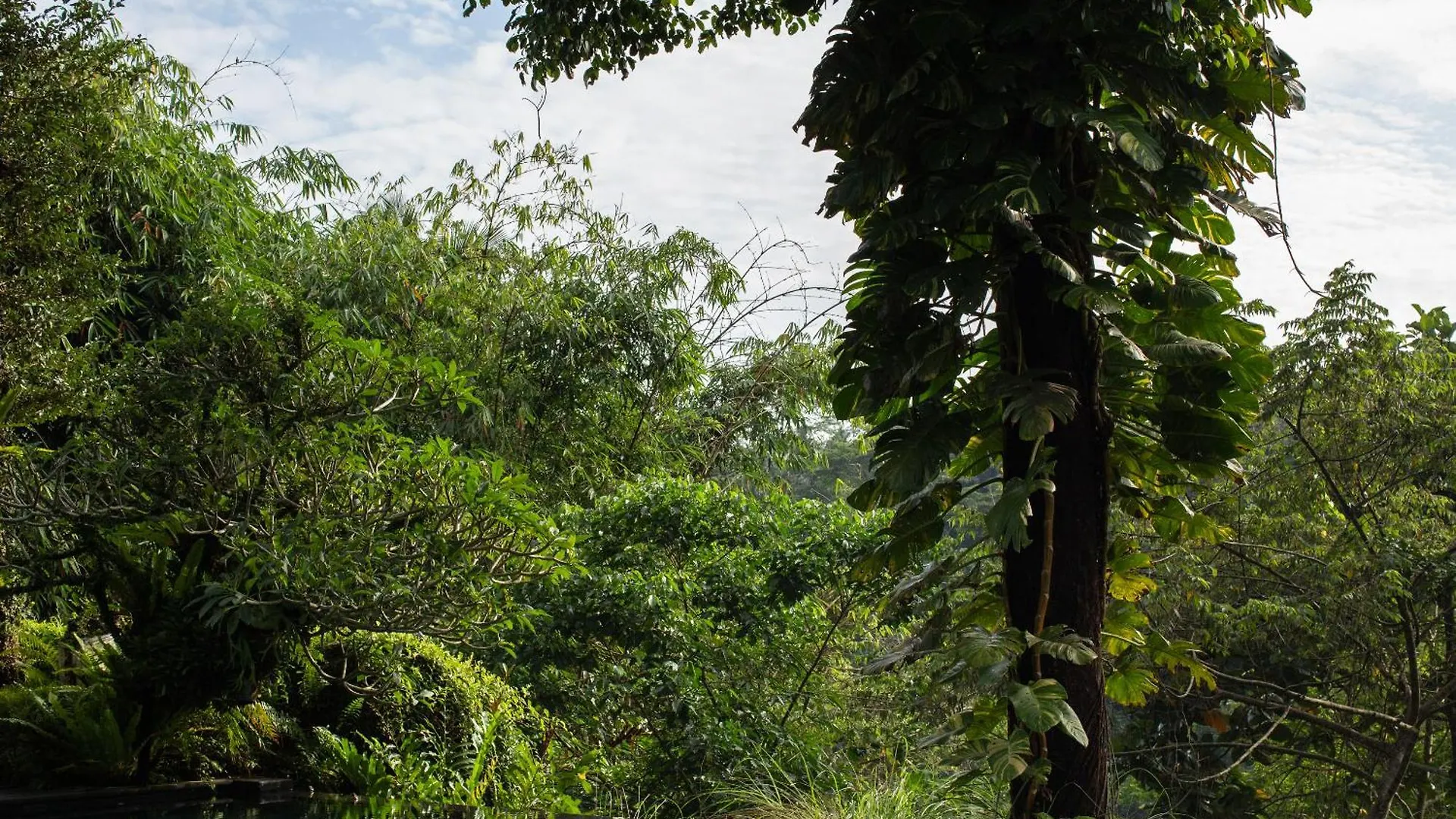 Rumah Hujan Ubud  Villa