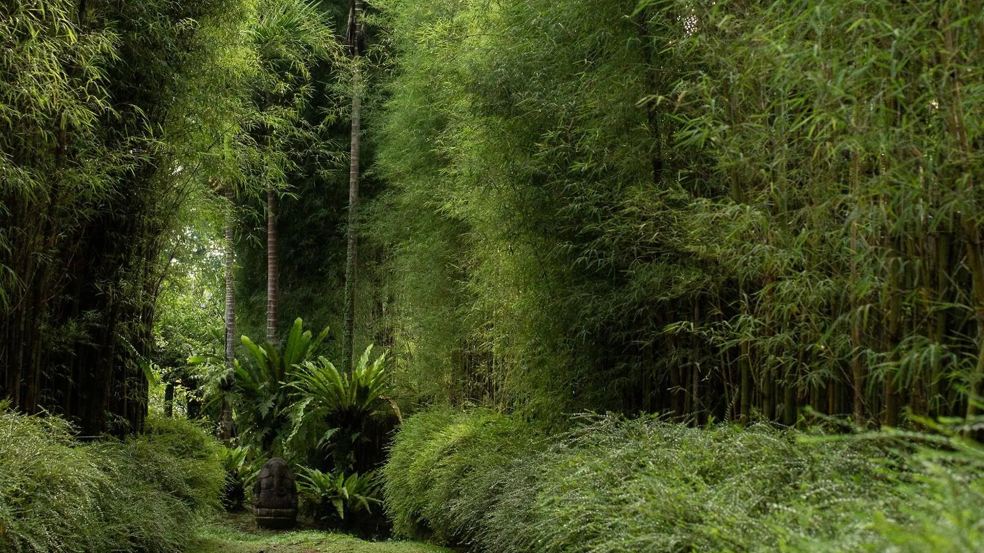 Rumah Hujan Ubud