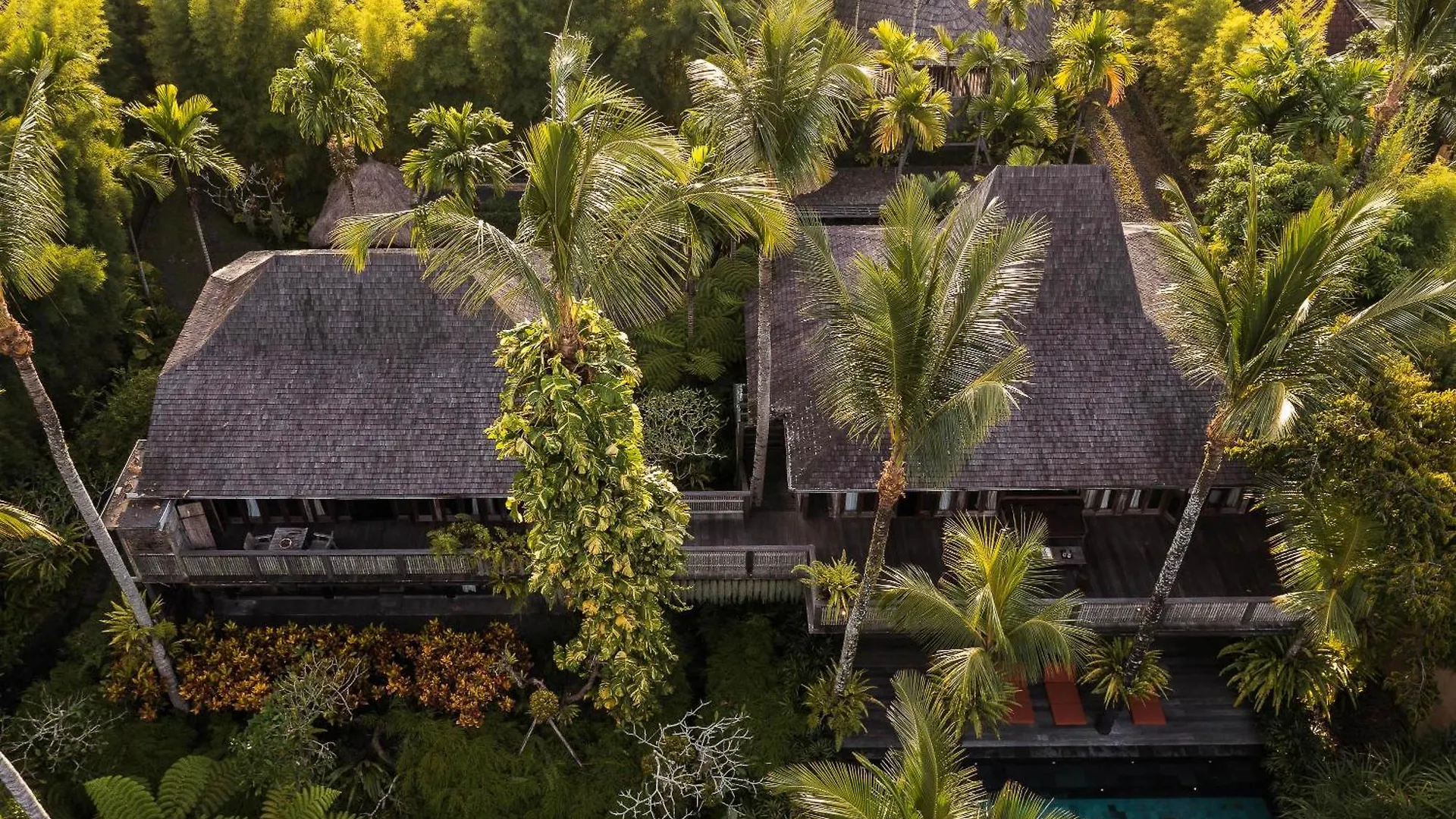 Rumah Hujan Ubud  Villa Ubud (Bali)