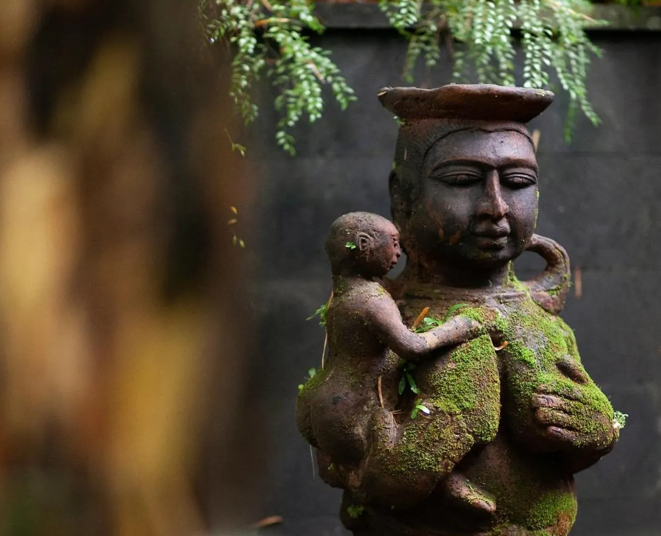 Rumah Hujan Ubud  Villa