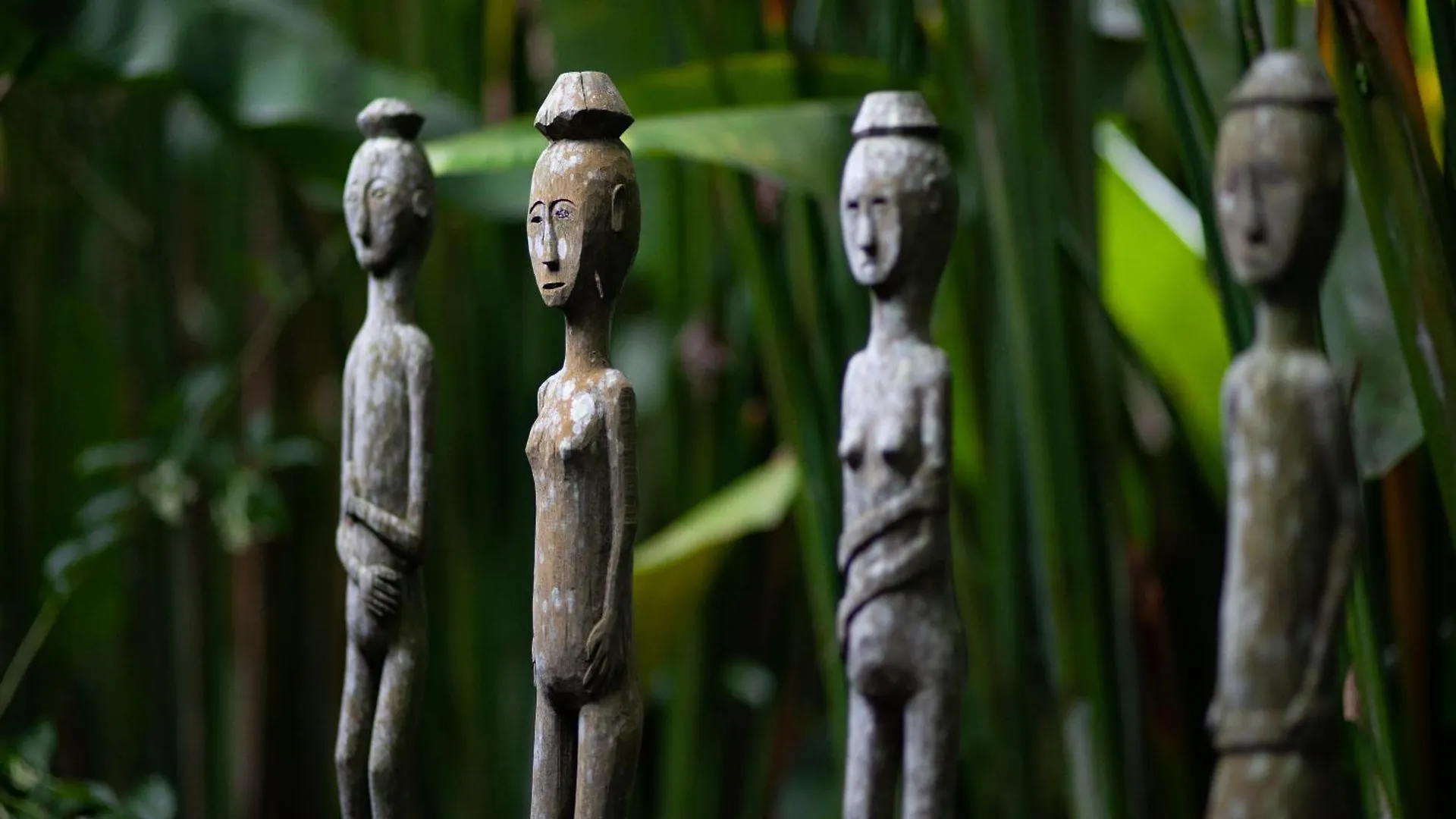 Rumah Hujan Убуд Индонезия